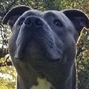 Meet your Posher, Jack